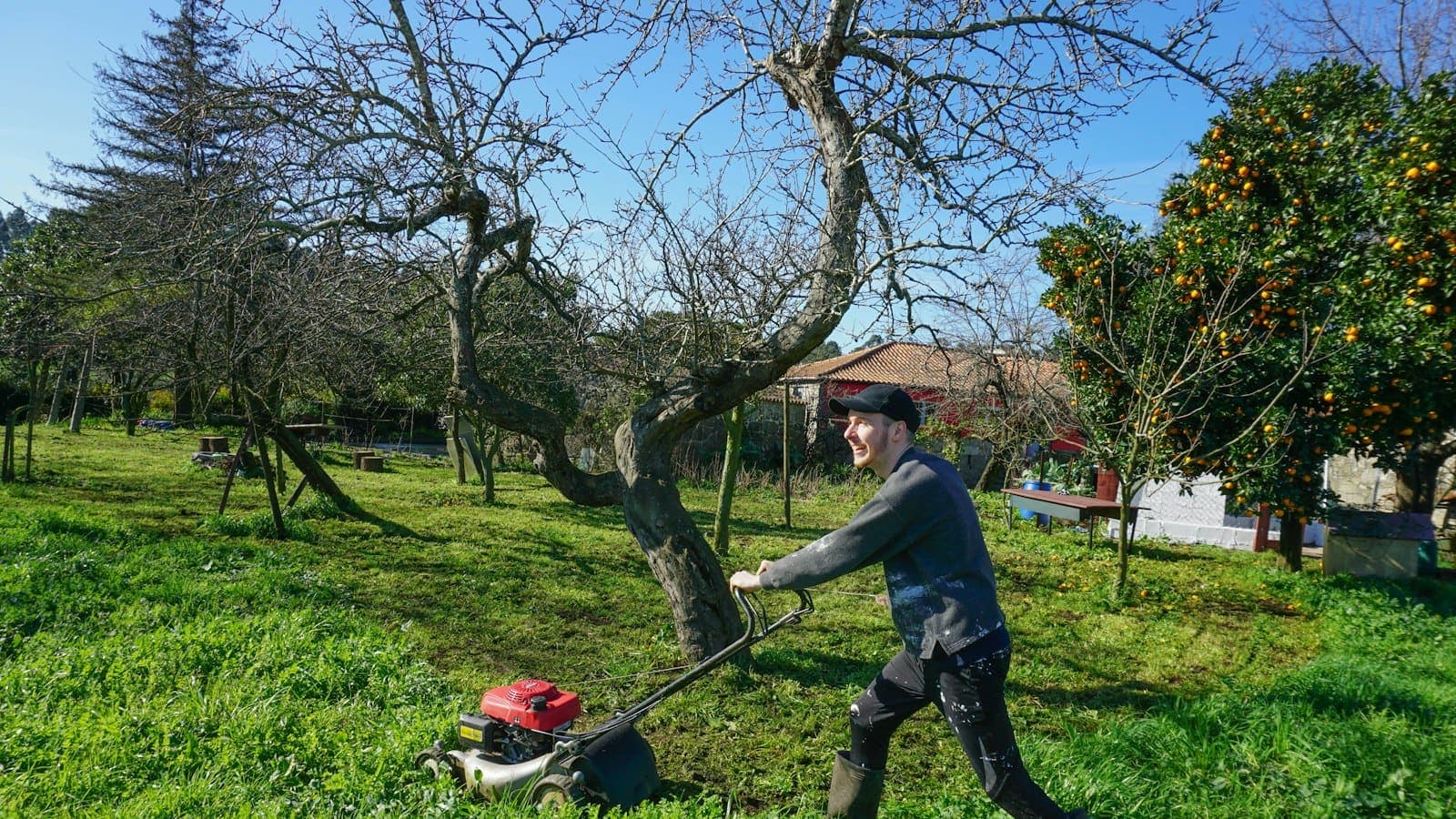Lawn care crew mowing a residential yard on a sunny day